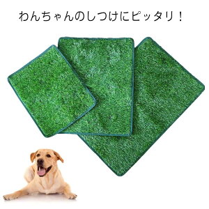 􂦂 q  ybgp }bg lH ybgV[g ybgpgC ybggCV[g