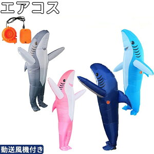 RXv Cxg Xe[Wpړo V[NLN^[l`[CƃT[C CmnRXvp  nEB