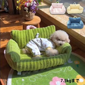 Lp  lG􂦂 ̃\t@xbh pxbh ΍ ^ybgxbh \ ۉ fB[vX[v xbh L ~