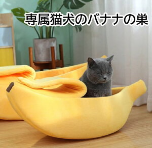 CG[ ybgpi ^ ^  LObY 킢  _炩  ~ h g 􂦂 xbh