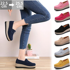   ʋC C XEF[h {v 5cm V[Y JV[t@[ JVV[Y ؂ y t  fB[X