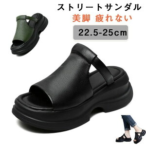  r [}  4E xNfUC ̌ 5cm fB[X Odw  I[vgDEFbW\[T_