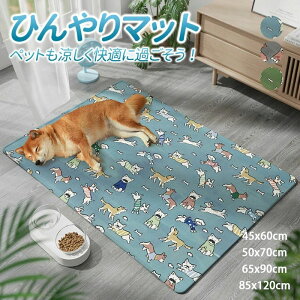 ې ڐG⊴ ėp JԂp\ ^Ή 􂦂 Ђ⊴}bguPbg ObY Ђ}bg L ⊴