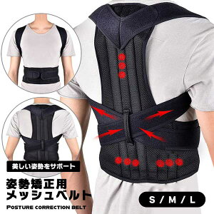    p fB[X Y w؃xg pxg Lw   Lwxg pT|[^[