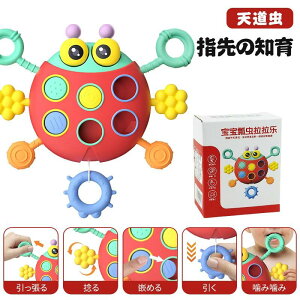 Fm 0΂ Jt oh q͊J `F ͂ߍ P   wV mߋ Ԃ ߋ 