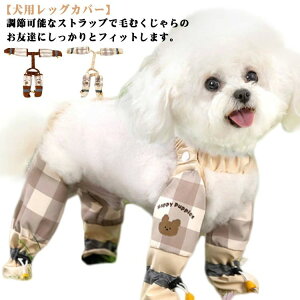 pbOJo[ Ol{pc TXy_[t ~ h ~J pu[c hbOEFA   Xy_[tppc Cpc ی h~ o U 