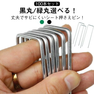 hV[g 2.5mm h[ Œs hV[g UsY s s 100{ h[ V[g y100{Zbgz Œp s lH Ίەt y100{Zbgz 10cm 15cm 20cm 2.