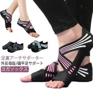 K\bNX A[` T|[^[ KV[Y O G 5{w ܐȂ ~ EH[NT|[^[ RAg[jO KEFA ̊ _X oG T|[^[ tBbg