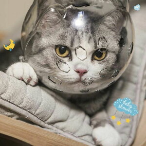 LpGUxXJ[ybgpi݂ ܐ؂⏕p L ʋC Lp}Y p LFwbhMA֌ 