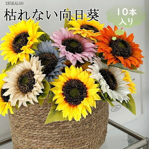 Bep Cxg̏t p AWg [ ͋[ 6F 3D ԑ  10{ Ђ܂ |Cg10{!v