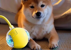 x Q@\ ^s ދ y ݂ɂ [d LEDCg Rt {[ EH[LO  p 