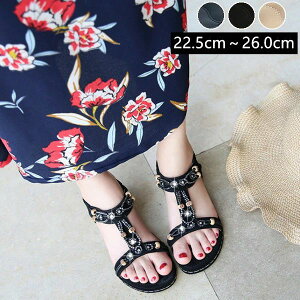  s T_ ₷ tbgT_ 3E CY ؂ T_ fB[X OfBG[^[T_ fB[X