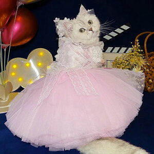 EFfB L m   tH[} s EFfBO LbgEFA hbOEFA  EFfBOhX L