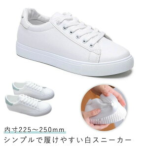 ₷ Vv ₷ JWA  tbgV[Y U[Xj[J[ [Jbg v fB[X Xj[J[