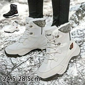  ₷ Ȃ y ~p  ۉ h  C EB^[u[c hC Y V[gu[c Y