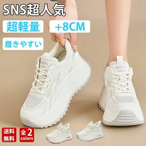  Xj[J[  C lC 킢  Cq[ EH[LOV[Y ؍ Xj[J[ _bh V[Y fB[X