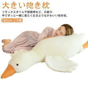ObY ܂ ӂӂ w Aj} n ܂  a NX}X 160cm  ʂ 