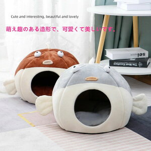 h[ lRxbh pxbh {A ӂӂ ybg g nEX  ~ xbh  p L  ybgxbh