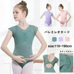 Xe K _X ̑ LbYEFA Xibv{^ ̎q qp oGߑ LbY  qp oG oGI^[h