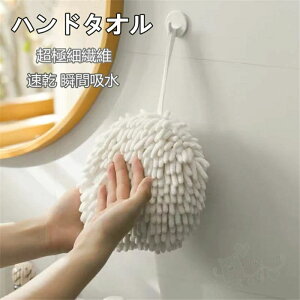 抗菌防 瞬間吸水 速乾 ロープ付き モールタオル すみれ ふきん マイクロファイバー 2枚セット 壁掛けハンドタオル 手拭きタオル