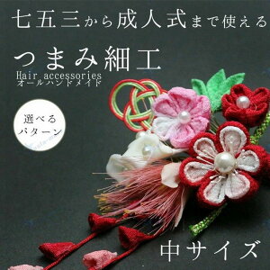  a  Mtg v[g yAbN  NR[f t[ F sN    wAANZ a TCY