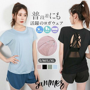 Xgb z TVc X|[c  킢 tBbglXEFA  zbgK fB[X ^Ngbv gbvX