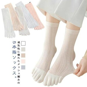 7Zbg 5{w\bNX X|[c Rbg   Xj[J[\bNX 5{wC 킢 \bNX ėp ܖ{w\bNX