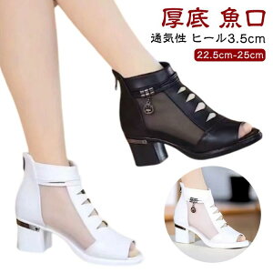 pvX T_  q[3.5cm ɂ fB[X  `L[q[  T_u[c ʋC bVT_