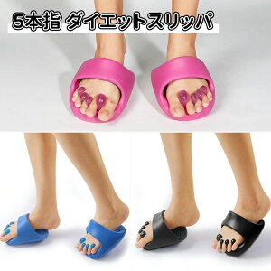 fB[X c{ }bT[W ނ p r  킢 T_ N  ̊ 􂦂  _CGbg