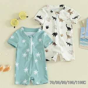 LbY  xr[  j̎q p[X  I[C   { UVJbg xr[XC~O