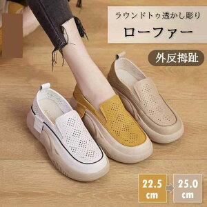 fB[X T_ Od ėp JWAT_ yʐ݌v ~ ʋCK 5cmq[ RtH[g T_