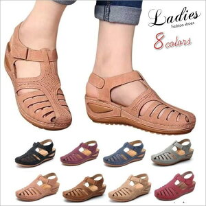  ₷ C {t V[Y I[vgEpvX nCq[ 傫TCY  q[ T_ fB[X