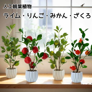 ͂ sv ϗtA  킢 ʕ A ~ tFCNO[ lHϗtA ݂   C