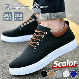 V Vv rWlXV[Y ʋC ^C WMO ^C LbY fB[X Y LoX yʃXj[J[ Y