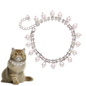 y ybg Lp`[J[ ؂₩ 킢 L̃ANZT[ ߉\  p ybgplbNX p  L