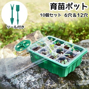 通 耐久性 便利性 透明カバー 育苗セット 発芽 グリーン 苗箱 種まきハウス 種子トレイ 10個セット 12穴 6穴 育苗箱 育苗トレイ