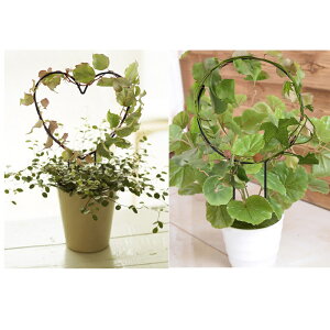  鐫A | U  K[fjOpi Ԏx Ԏx