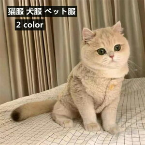  XS-XL ybgp Lp ^ ^ h  ӂӂ _炩  NтŒg ybg 