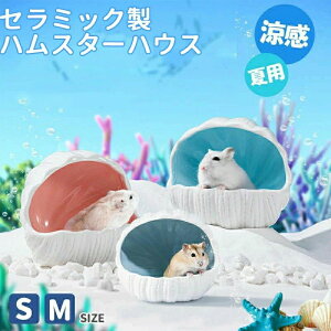 傫 xbh  ւ p nEX ΍ ЂK ⊴ 悯 A Q xbh  ւ Lk  nEX