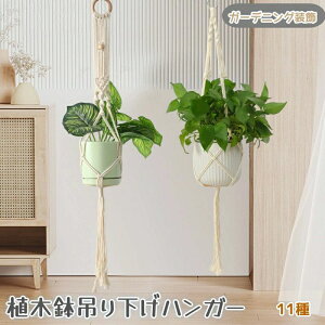 K[fj ԃ|bgnK[ vgnK[  [v  nMOv^[ }N lbg ݂艺nK[ Ap