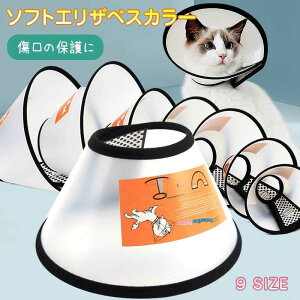 p̃P ی ~h~ r p^ _炩 \tg  ybgpi ^ \tgGUxXJ[ \tg L