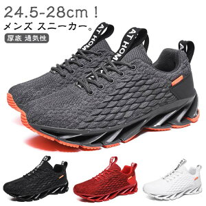 z Xj[J[ ʋ ʊw  y ubN Xj[J[ ^C jOV[Y EH[LOV[Y X|[cV[Y C