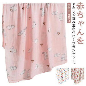 V ѕz P[v xr[uPbg ėp K[[ މ@p |  uPbg xr[  t  Q