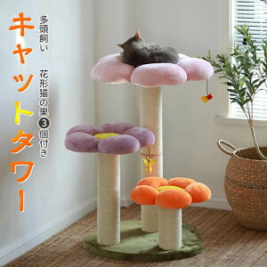 L ybg CeA ܂Ƃ 傫ȃ^[ qL  Lbg^[ L܂ƂnbN^[ lR  L Lbg