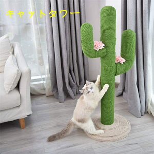 qL gȒP 萫 ^s  L̖ ߂Ƃ  芪  lR|[ T{e^ ܂Ƃ Lp L^[