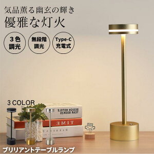 yVoE210%OFFzԐڏƖ e[uv R[hX  Ǐ LED 3F[h iKɒ [d ドCg Type-C[dP[u @\  iCg xbhTChv