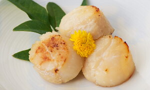 yقĊLЁ@0h0203zOY O  񂹃O  CN т̂  ܂ ĂȂ Ђ V X ق  kCY 嗱  ̒