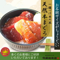 【一膳づけ丼の具　本まぐろ　0g16-50】三浦 三崎 自宅 お取り寄せグルメ おかず 海鮮 ご飯のお供 個包装…