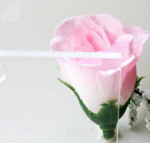 AN (001 WS }X)  NbNX(LXg)(0.8~)400×550