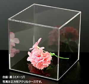 yFzANP[X (2~)(O)(100~)s(100~)(100~)